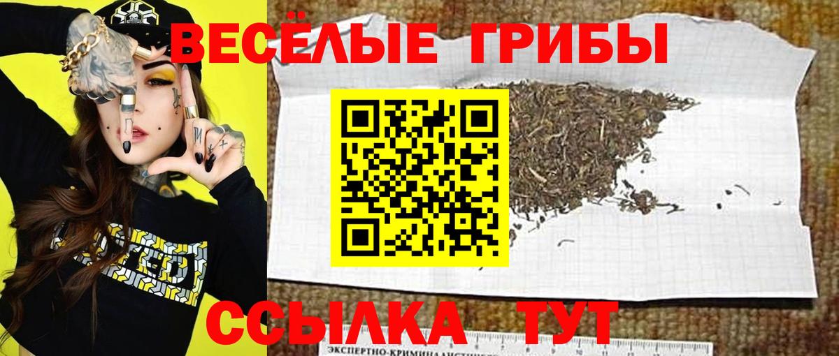 Галлюциногенные грибы прущие грибы  Вход с VPN  Егорьевск 